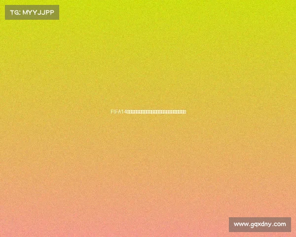 FIFA14世界杯中文菜单全解析与操作界面深度指南体验攻略版